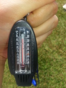 small20160128_143517